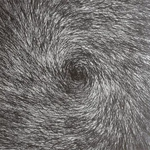 From death to passwords where you're a paper aeroplane